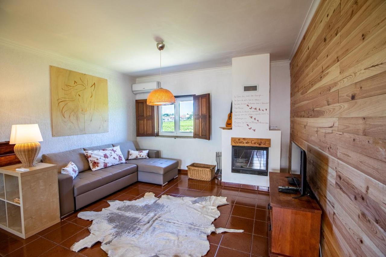 Quinta De Carvalhal - Casa Da Vinha * Guimaraes