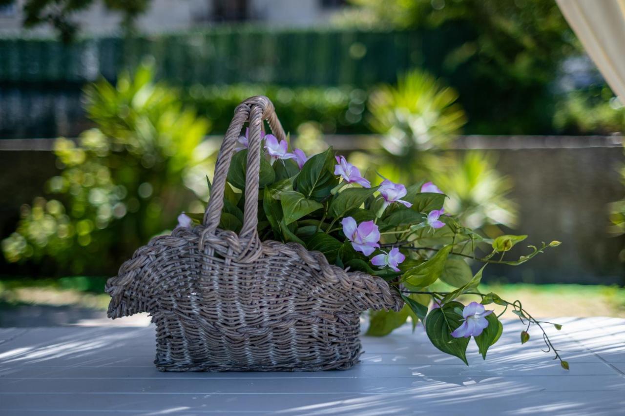 Quinta De Carvalhal - Casa Da Vinha Holiday home *