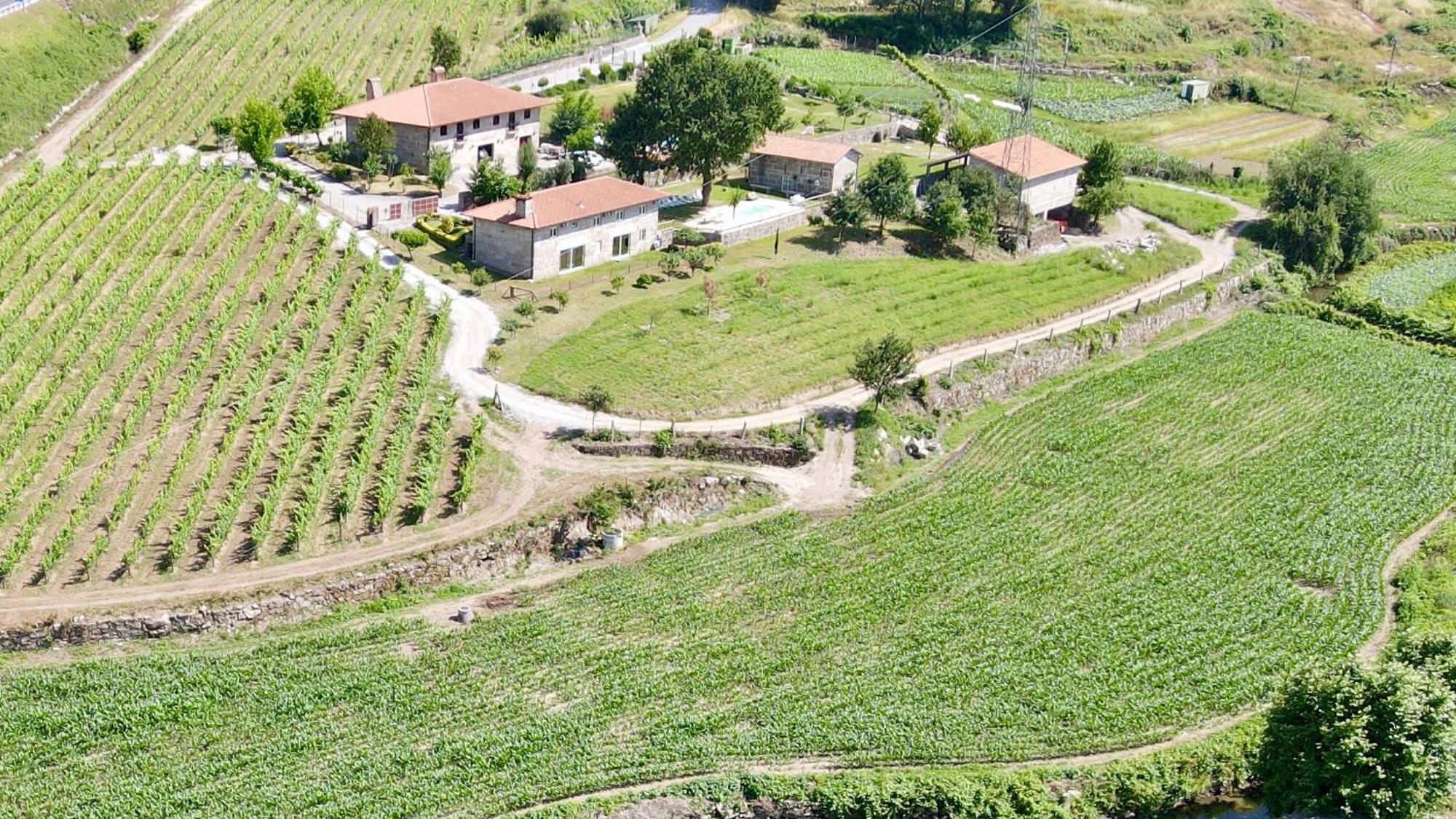 Quinta De Carvalhal - Casa Da Vinha Holiday home *
